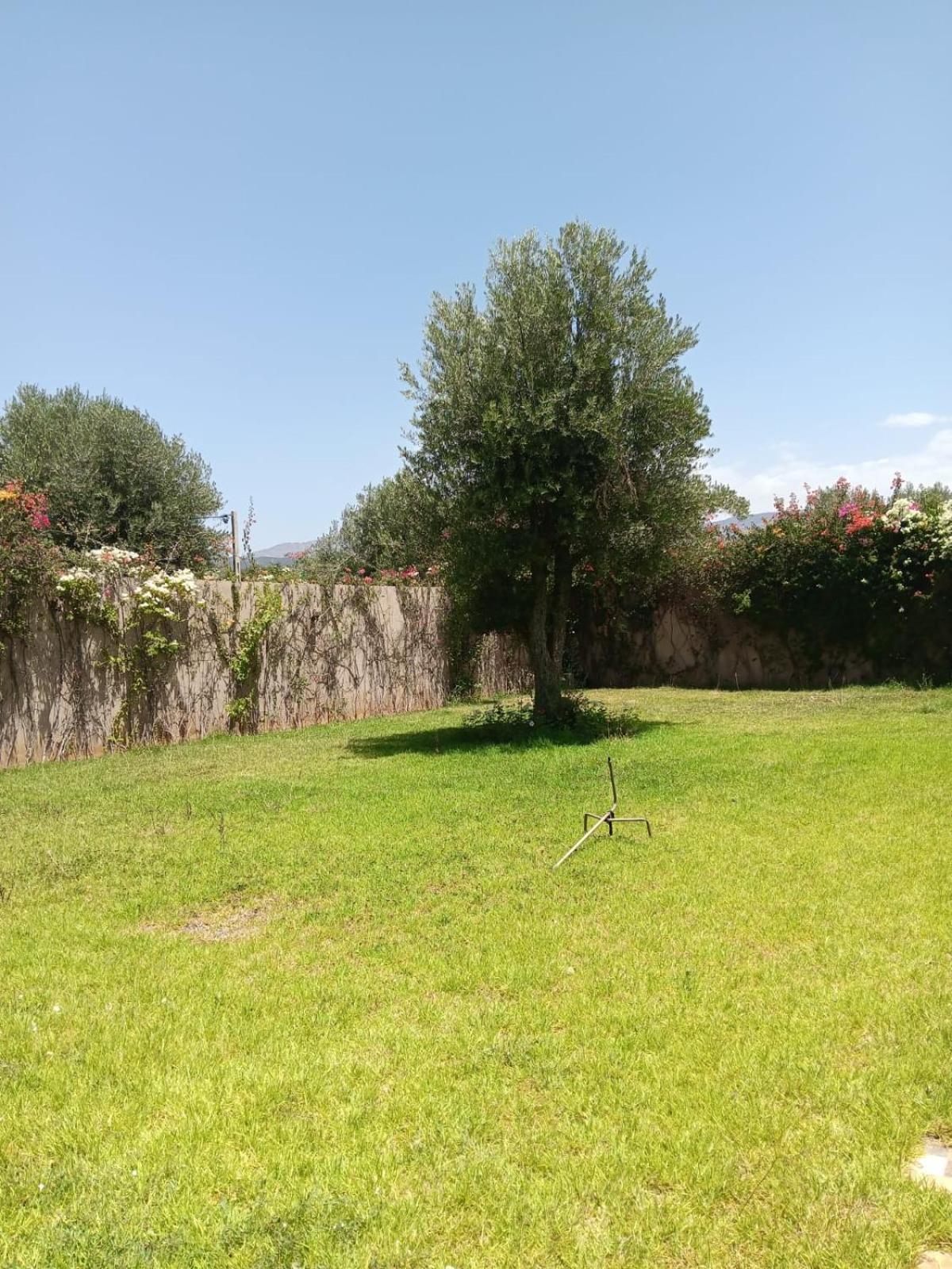 Villa Jamel Marrakech Zac 马拉喀什 外观 照片