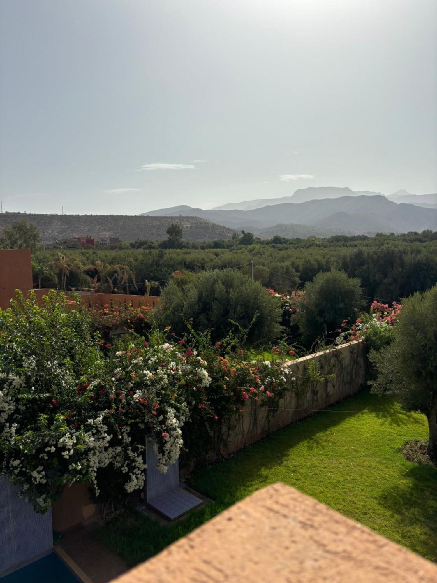 Villa Jamel Marrakech Zac 马拉喀什 外观 照片